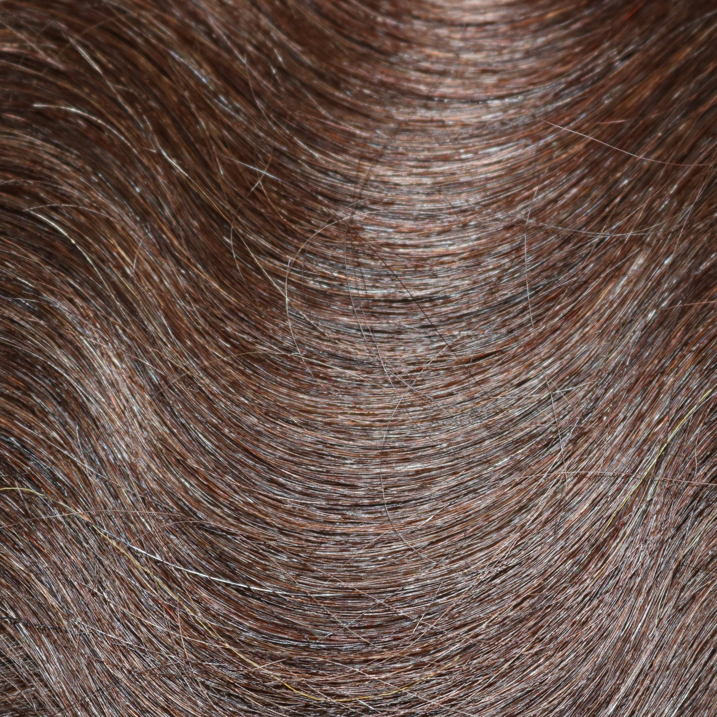 #4 Loop Extensions