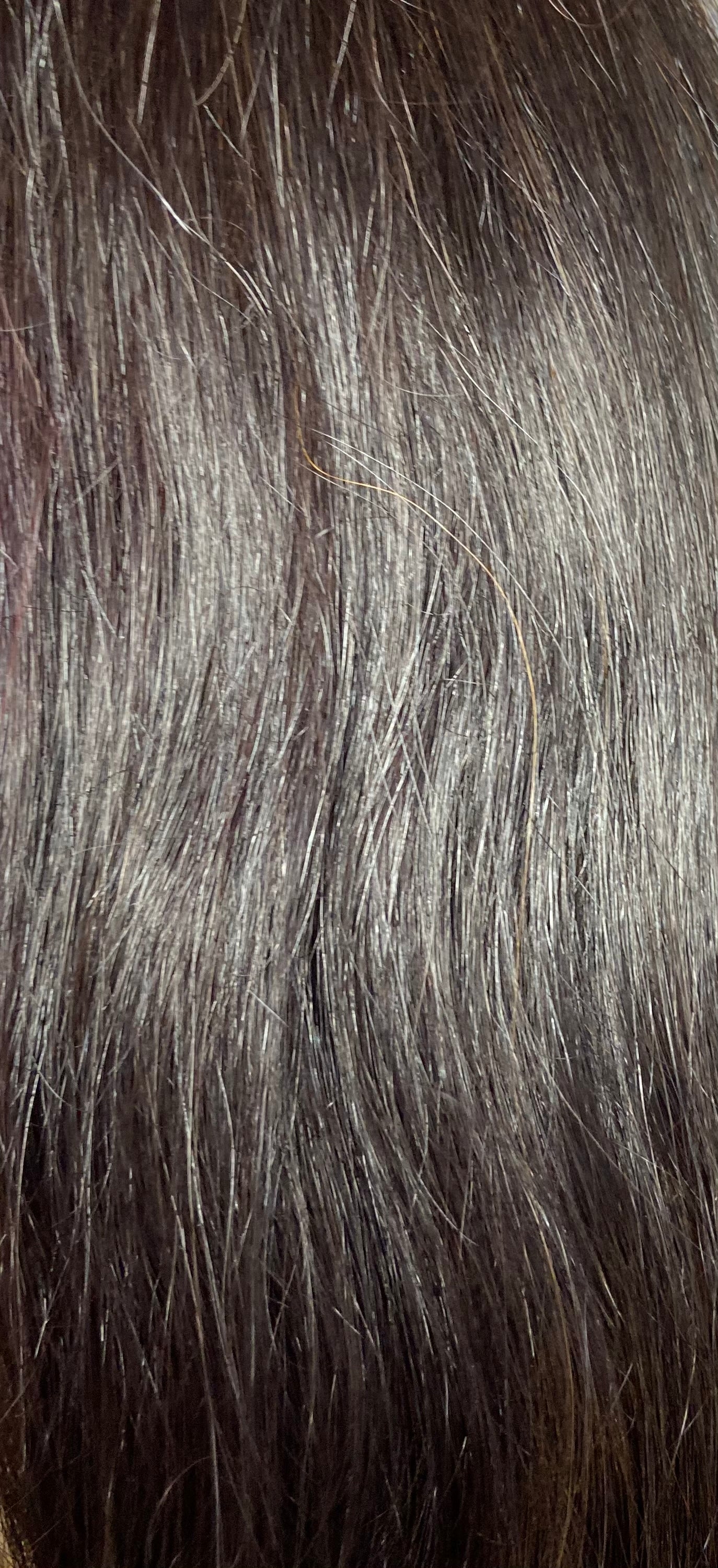 #1B 220 Gram Clip in Extensions